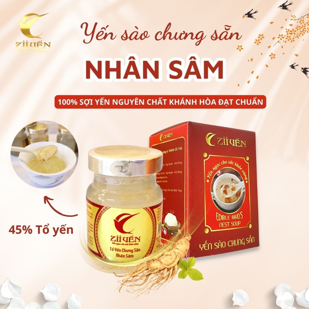 TỔ YẾN CHƯNG NHÂN SÂM