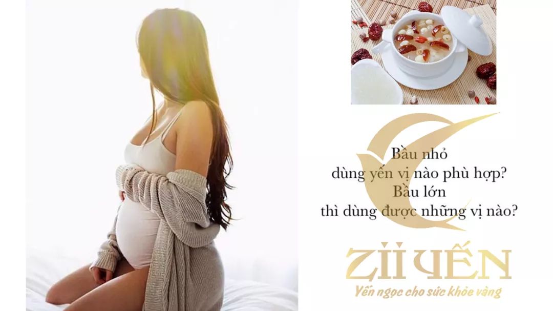 Tổ yến dinh dưỡng đầy đủ cho mẹ bầu và thai nhi